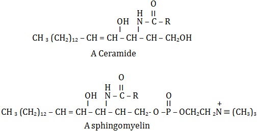 Ceramides and sphingomyelins
